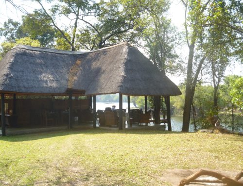 Chapter 3 At the Heart of Africa